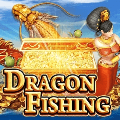 Dragon Fishing nh881 fishing